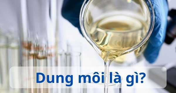 Dung môi là gì?